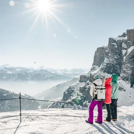 91 * ロイカーバード